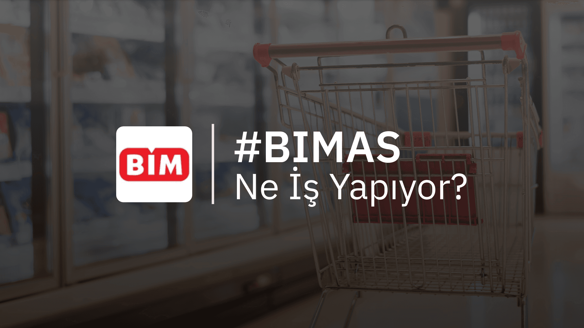 BIMAS Ne İş Yapıyor?