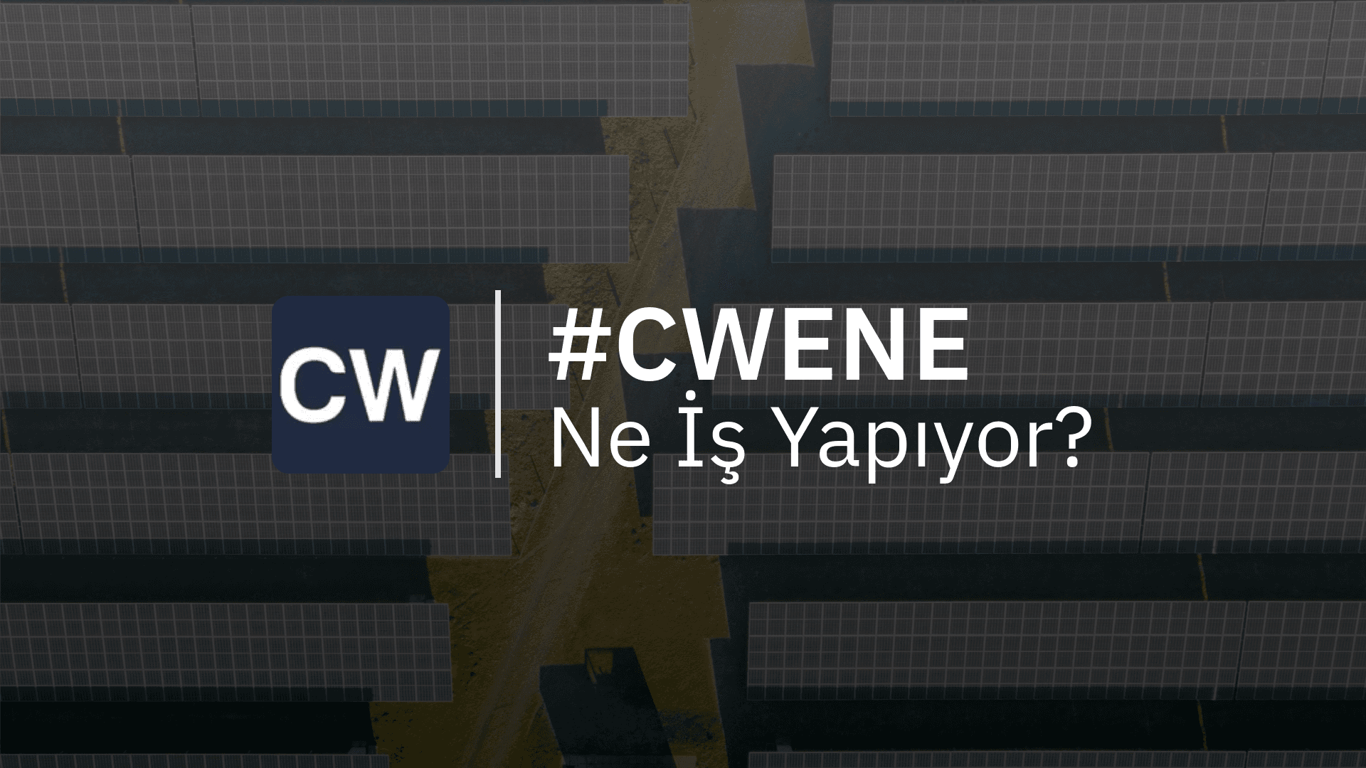 CWENE Ne İş Yapıyor?