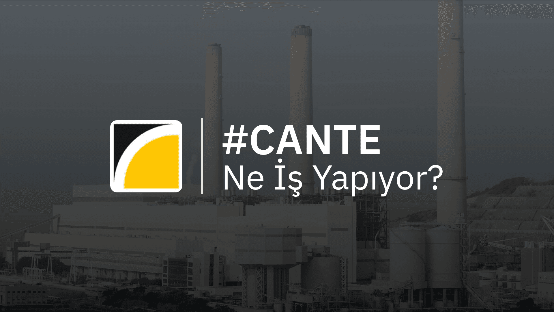 CANTE Ne İş Yapıyor?