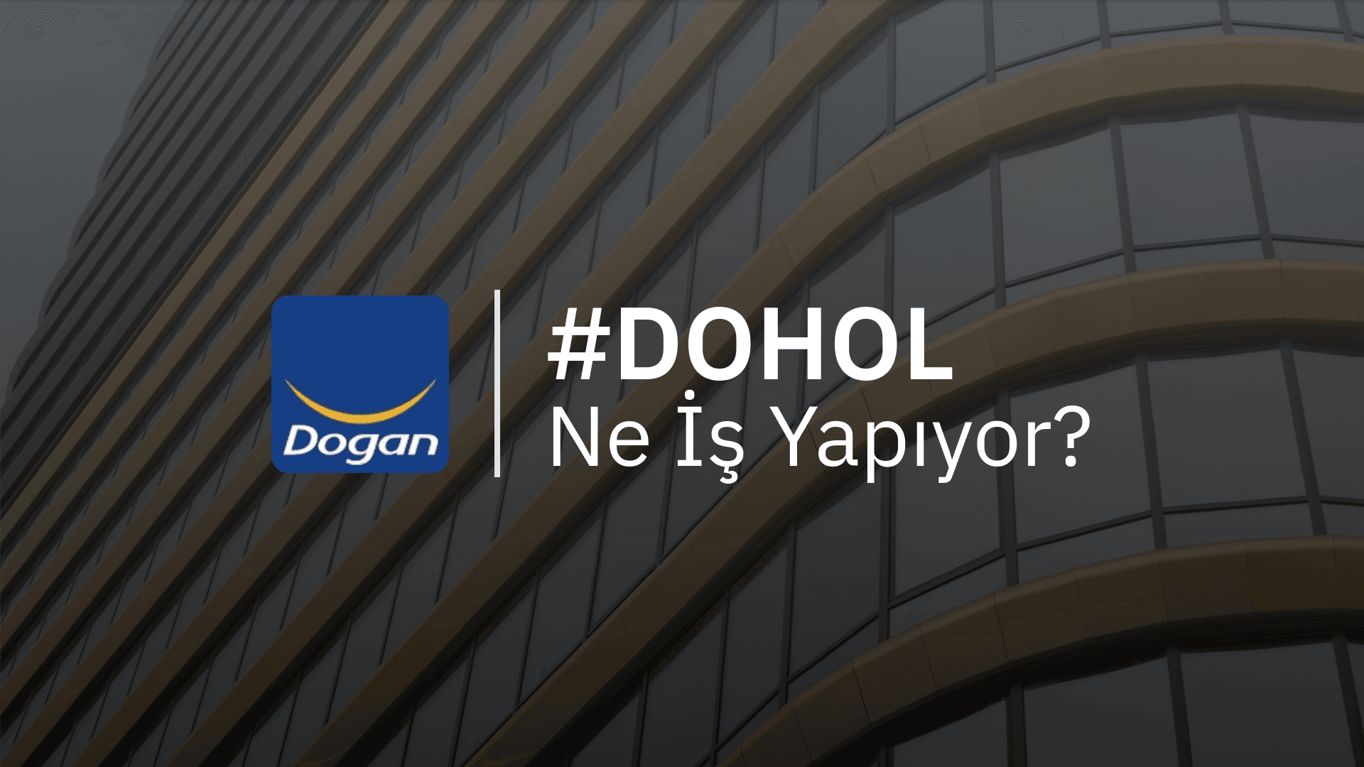 Doğan Holding Ne İş Yapıyor?