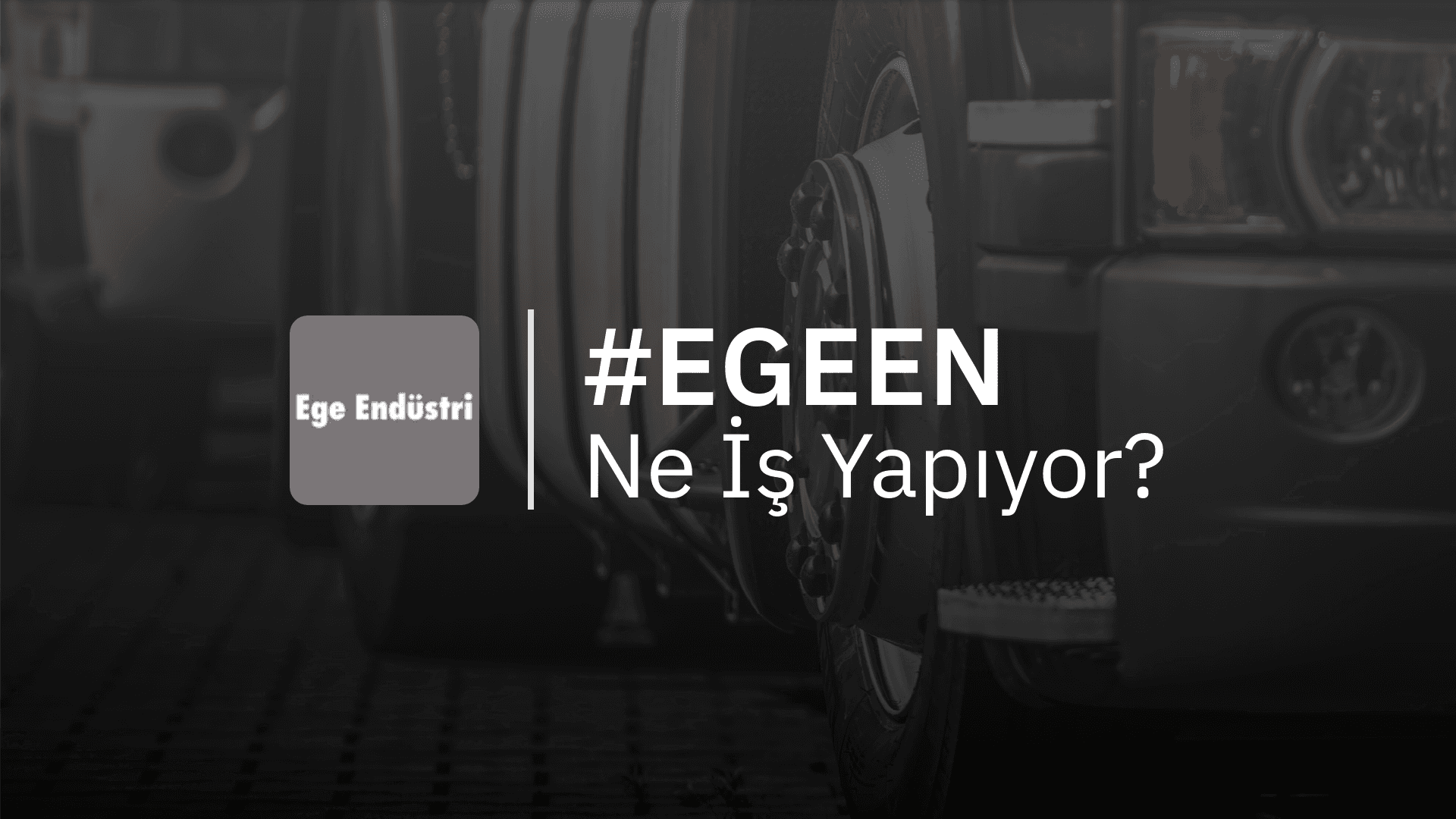 EGEEN Ne İş Yapıyor?