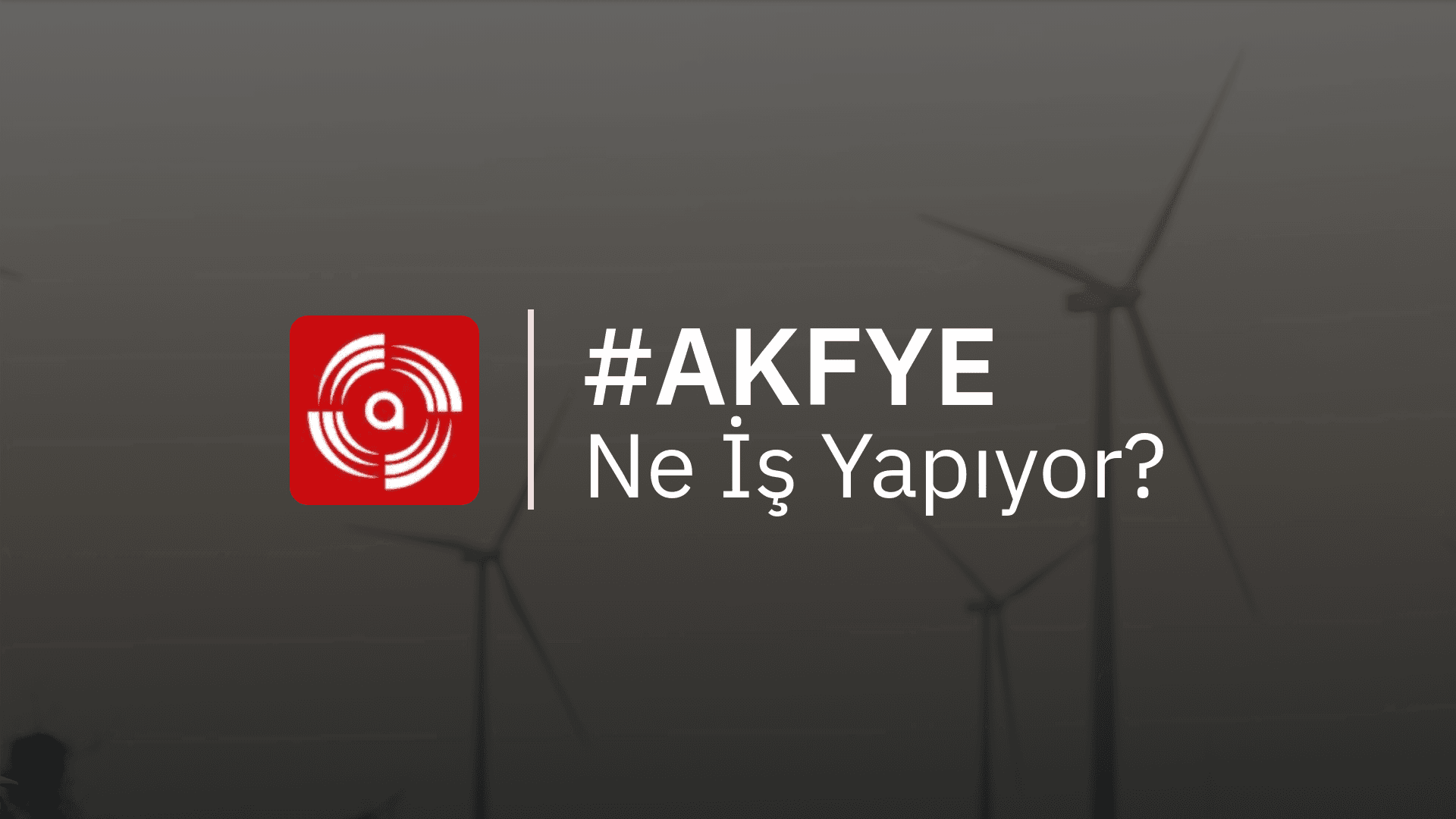 AKFYE Ne İş Yapıyor?