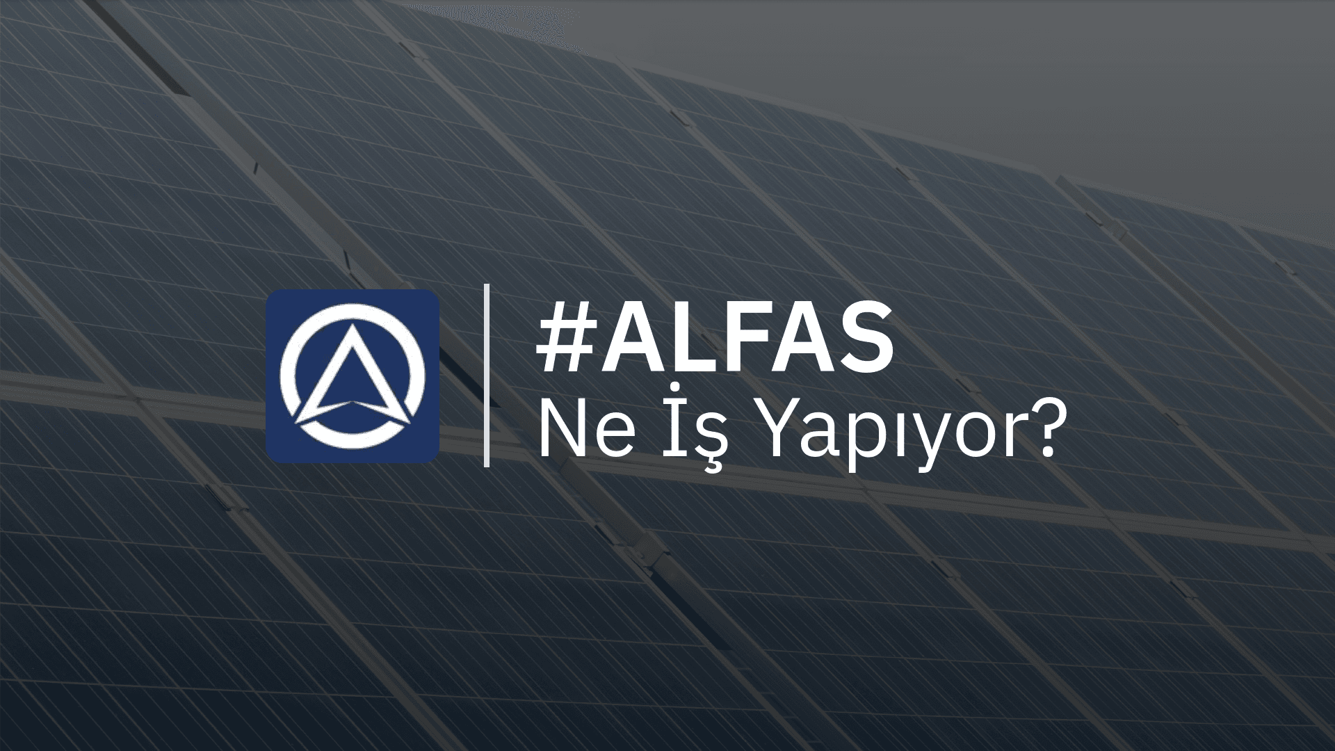ALFAS Ne İş Yapıyor?