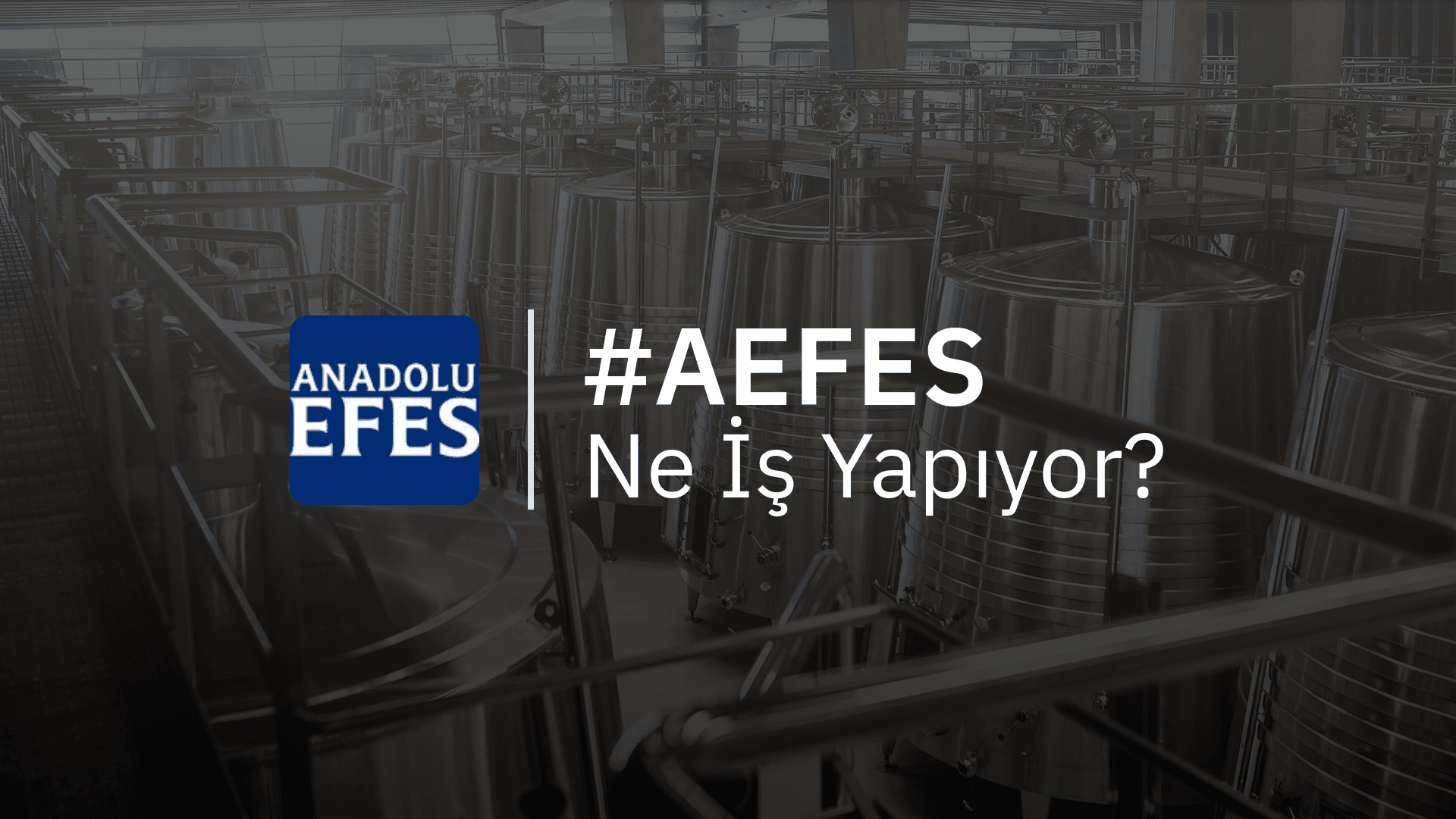 AEFES Ne İş Yapıyor?